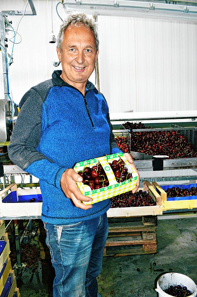 Hubert Knoblauch vom gleichnamigen Obsthof freute sich im Sommer über die Kirschenernte. Auch heute ist er glücklich &ndash; denn er und ...