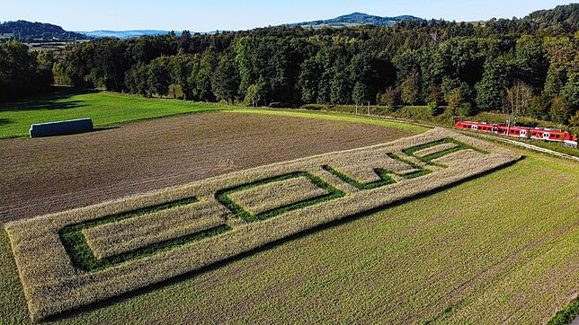 Eine Arbeitsprobe von einem Unternehmenslogo in einem Feld: hier das Logo des Reinigungsunternehmens Cowa, das seinen Sitz in ...