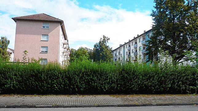 So sehen sie aus, die Wohngebäude an der Steinstraße. Die Bundesanstalt für Immobilienaufgaben erwägt wohl, Altbauten abzureißen.