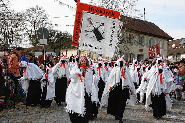 Bild 13: So schön war der Jubiläumsumzug zum 60 jährigen Bestehen der Sunnelöscherzunft
