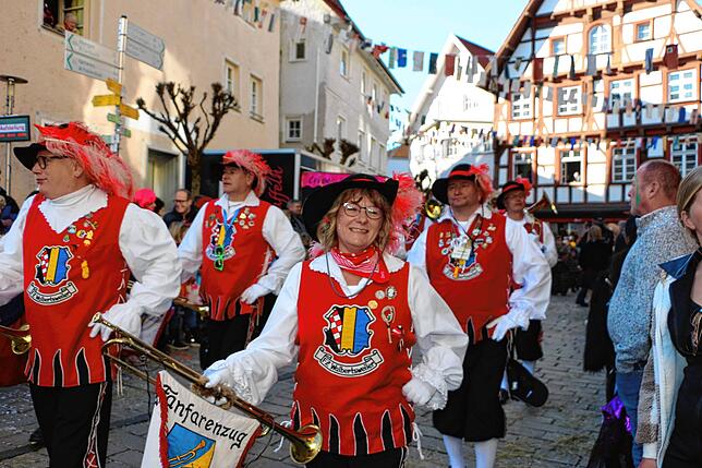 Bild 12: Bilder vom Umzug in Meßkirch (4)