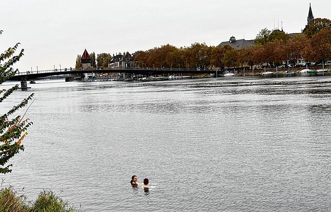 Das Wasser des Seerhein hat 14 Grad, die Außentemperatur beträgt Ende Oktober 10 Grad in Konstanz. trotzdem zieht es Nina Kirchgäßner ...