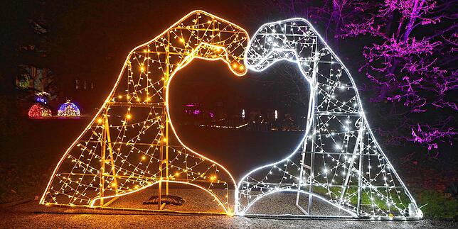 Die Lichterspiele von Christmas Garden – hier ein Bild von 2023 – sorgen in diesem Jahr zum vierten Mal für Atmosphäre auf der ...