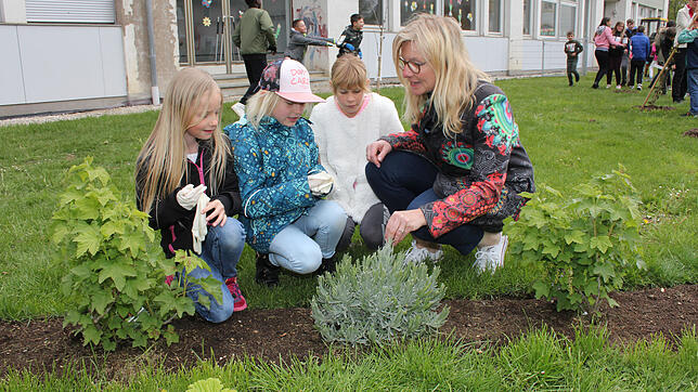 Die Pflanzen im Schulgarten kann man nicht nur wachsen sehen, sondern auch riechen und schmecken. Das zeigt Schlossschulleiterin Julia ...