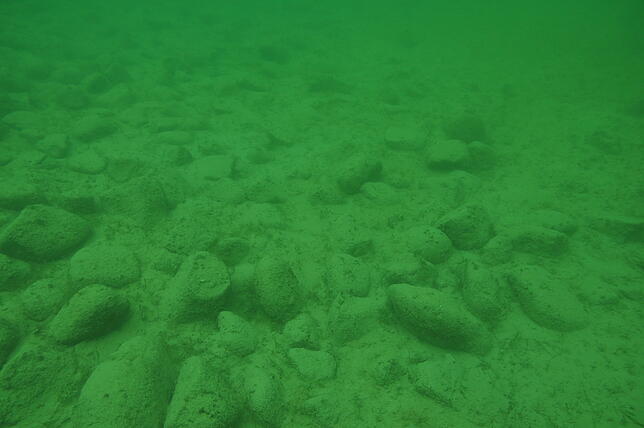 Was hat es mit den Steinhügeln im Bodensee auf sich? Diese Unterwasseraufnahme zeigt Hügel fünf. Die auf der Schweizer Seite des ...