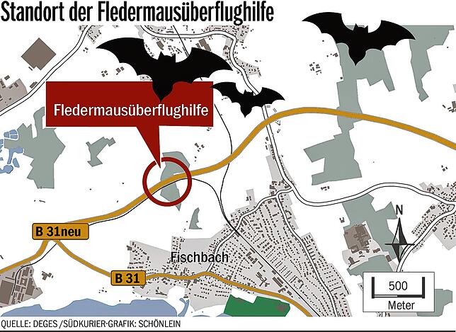 Bild 3: Warum es an der B 31-neu eine Brücke nur für Fledermäuse gibt
