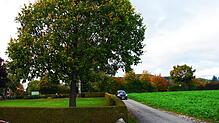 Die Unterbringung von Geflüchteten in Containern auf diesem Grundstück neben dem Friedhof außerhalb von Riedheim steht noch immer zur ...