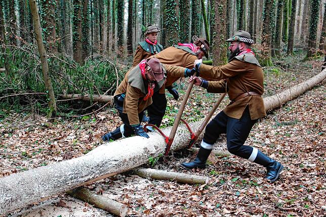 Bild 6: Etz kummt de Narrenbom: So kommt der Narrenbaum aus dem Wald in die Stadt