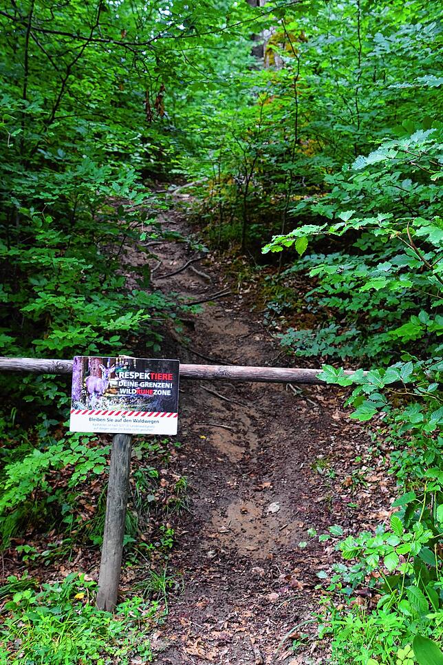 Radfahren im Wald ist laut dem Landeswaldgesetz nur erlaubt, wenn ein Weg breiter als zwei Meter ist. Im Wald bei Bodman gibt es ein ...