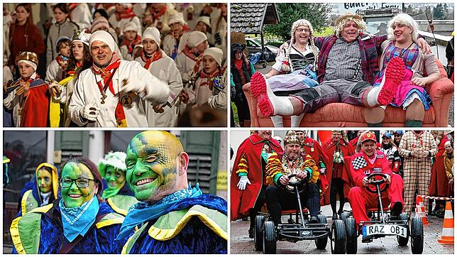 Einige der vielen schönen Momente der diesjährigen Fasnacht in Radolfzell und auf der Höri.