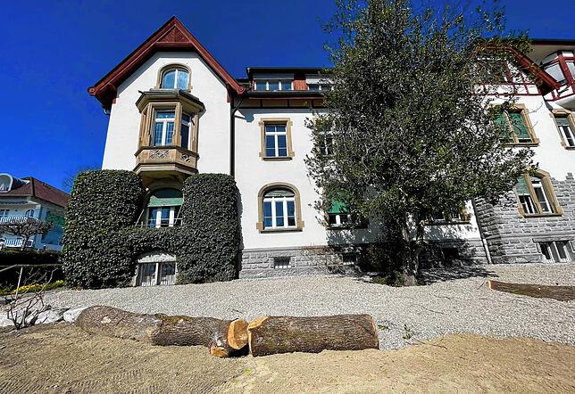 Kein Zwischenlager für Brennholz. Noch wirken die Flächen eher trostlos, wie hier an der Bahnhofstraße. Doch sie sollen zu wichtigen ...