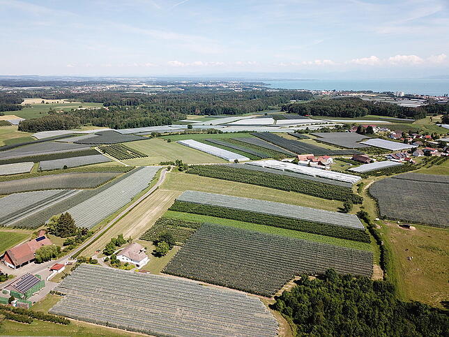 Blick von Ittendorf-Hundweiler aus in Richtung Osten.