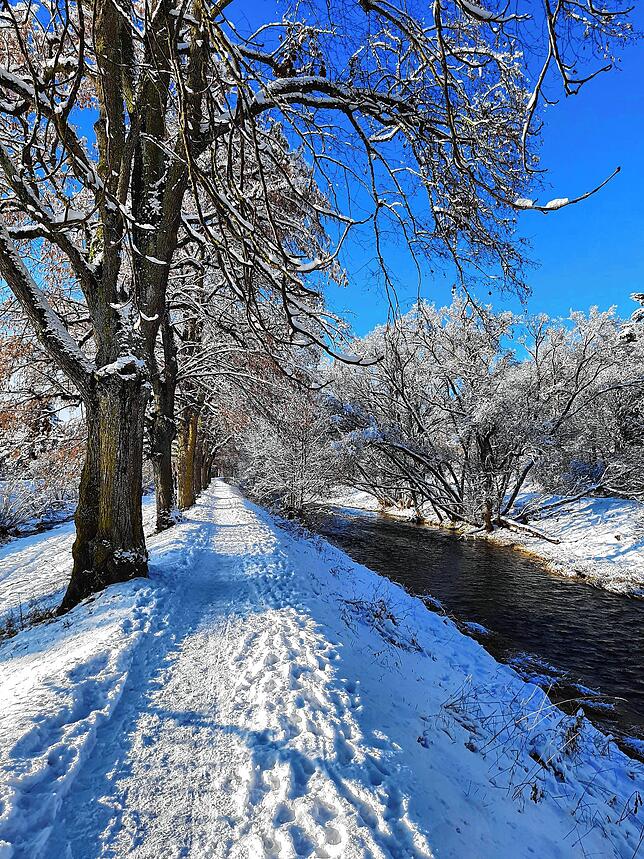 Entlang der Breg laden Schnee und Sonne zum Spaziergang ein.