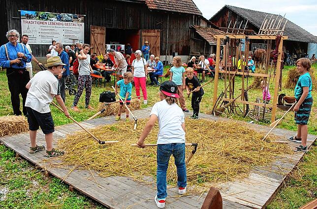 Bild 13: Tausende Besucher an der Bohlinger Sichelhenke