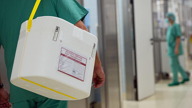 In solchen Styropor-Behältern werden zur Transplantation vorgesehene Organe transportiert.