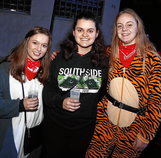 Bild 30: Bilder des Narrentreffens in Donaueschingen Pfohren (2)