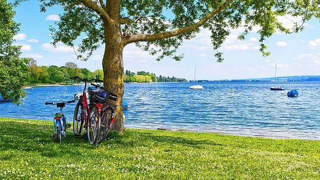 Sommer, Sonne, Mücken: Werden die Blutsauger noch den ganzen Sommer lang nerven?
