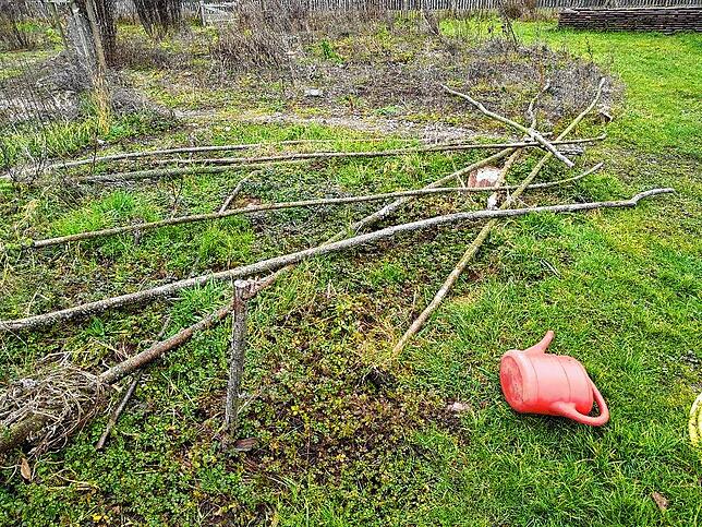 Das Tomatenhaus wurde abgerissen und auf dem Grillplatz verbrannt.