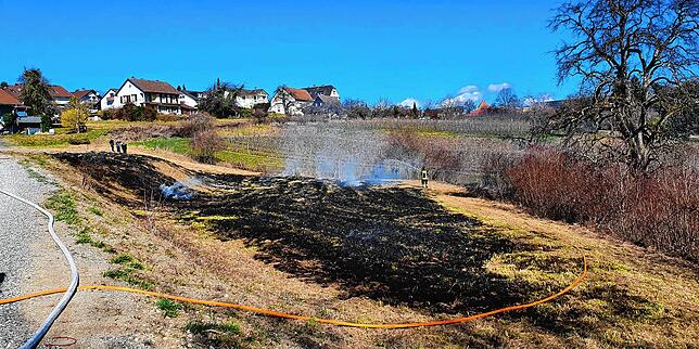 Bild 1: 28 Einsatzkräfte löschen Flächenbrand