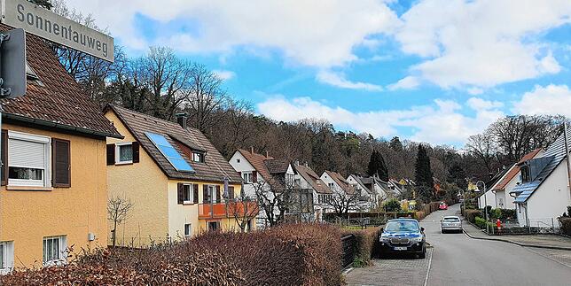 Der Sonnentauweg im Haidelmoos mit dem Schwaketenwald dahinter, links ist es nur ein Katzensprung bis zur Geschwister-Scholl-Schule.