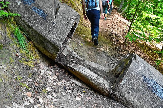 Bild 29: Wie läuft es sich von der Marienschlucht zum Burghof? Bilder einer Wanderung