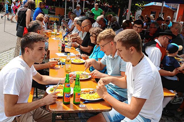 Bild 6: Bilder vom Festumzug in Löffingen