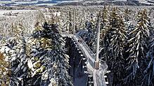 In 25 Metern Höhe kann man über den Skywalk Allgäu in Scheidegg wandern.