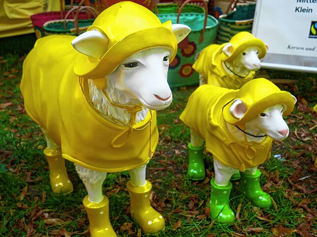 Bild 13: Die schönsten Bilder von der DIGA-Gartenmesse im Bad Säckinger Schlosspark