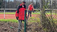 Kontrollierter Großeinsatz beim SV 08 Laufenburg: Helga und Bruno Ebner kämpfen sich durch das wilde Gestrüpp in Richtung Geländeumzäunung.