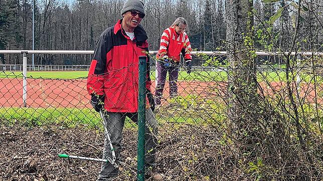 Kontrollierter Großeinsatz beim SV 08 Laufenburg: Helga und Bruno Ebner kämpfen sich durch das wilde Gestrüpp in Richtung Geländeumzäunung.
