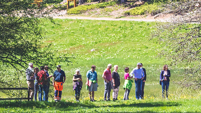 Experten des Landratsamts Waldshut und des Regierungspräsidiums Freiburg begutachteten beim Rundgang um den Schlüchtsee mögliche ...