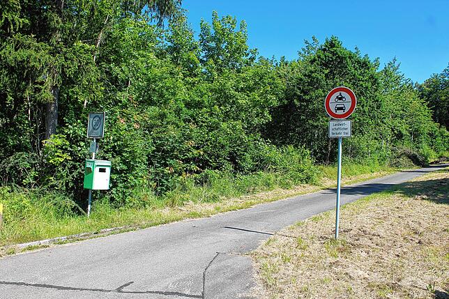 In diesem Waldgebiet in Hausen vor Wald entsteht der neue Hüfinger Naturkindergarten.