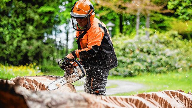 Die Bildhauerin Heike Endemann arbeitet mit Holz. Dabei fast immer im Einsatz: die Kettensäge. In Corona-Zeiten experimentiere sie viel, ...