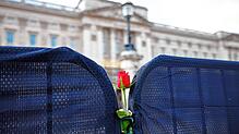 Eine Rose vor dem Buckingham Palace zwei Tage nach dem Tod von Prinz Philip