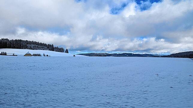 Unberührter Schnee in Furtwangen.