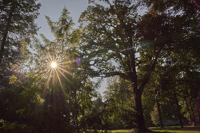 Das war der Blick in den Büdingen-Park im Herbst 2018.