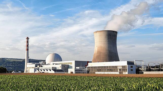 Das Kernkraftwerk in Leibstadt versorgt jährlich rund zwei Millionen Schweizer Haushalte mit Strom. In diesem Jahr feiert das KKL sein ...