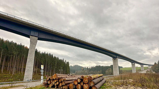 Noch steht die große Brücke bei Döggingen allein da. Das soll sich jedoch ändern, eine zweite soll parallel daneben entstehen.