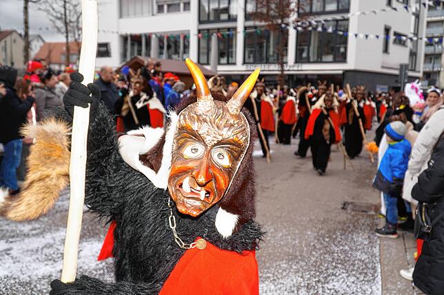 Bild 7: Fasnetumzug in Schwenningen