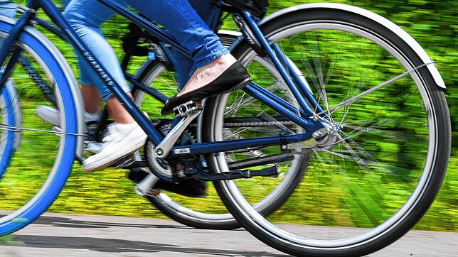 Er kommt in die Gänge: Vom Maulburger Gemeinderat gibt es Rückenwind für den Radweg.