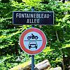 Die Fontainebleau-Allee im Konstanzer Lorettowald. Hübsches Schild, toller Wald &ndash; aber eine eher herabgewirtschaftete Straße.