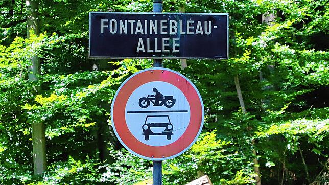 Die Fontainebleau-Allee im Konstanzer Lorettowald. Hübsches Schild, toller Wald &ndash; aber eine eher herabgewirtschaftete Straße.