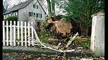 (Archivbild) Im Musikerviertel zertrümmerte dieser durch den Sturm gefällte Baum 1999 den Gartenzaun.