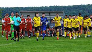 Bild : Der SV Denkingen ist Meister und steigt in die Landesliga auf. Wir waren mit der Kamera dabei!