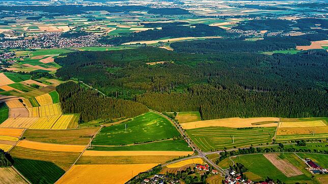 Der Weißwald auf der Gemarkung Brigachtal: Potentieller Standort für einen neuen Truppenübungsplatz.