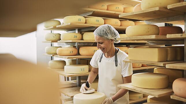 Lehenhof-Mitarbeiterin Simone Rayher im Käsereikeller beim sogenannten Käse schmieren.