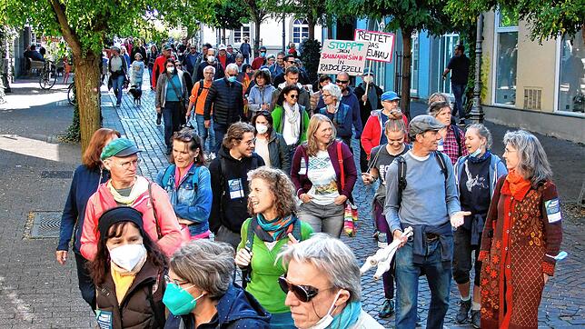 Nach einer Kundgebung der Aktionsgruppe Earth Vital am Seetorplatz ziehen Demonstranten für den Erhalt des Streuhau-Biotops durch die ...