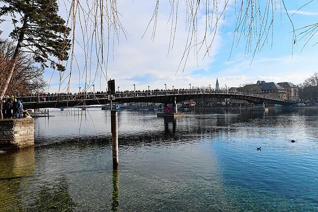 Bild 8: Demo vom Herosé-Park bis zum Stadtgarten: Konstanz geht auf die Straße – wir haben die Bilder!