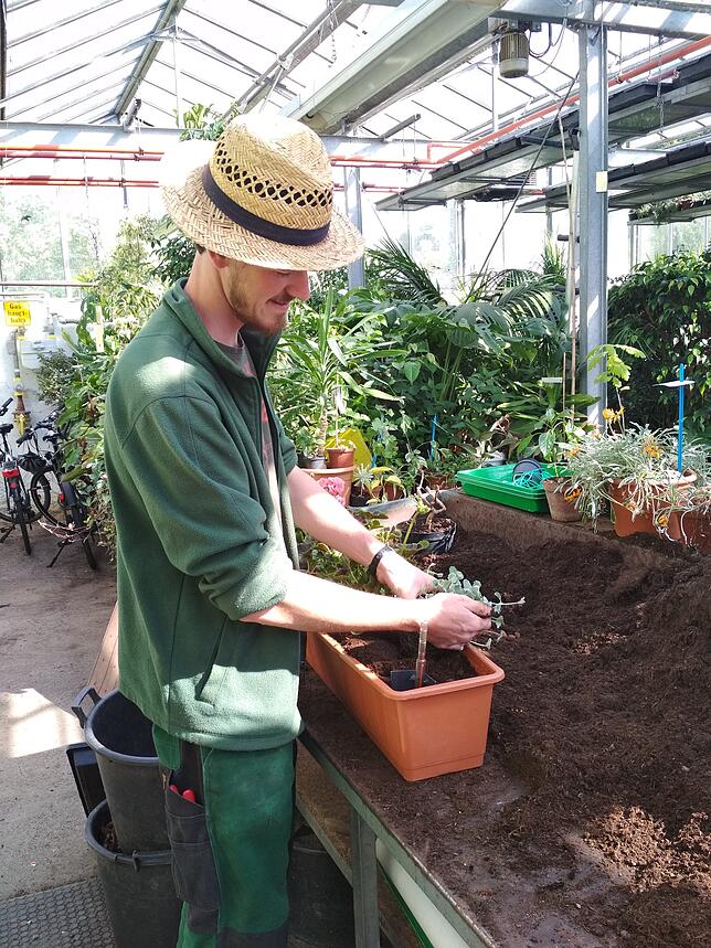 Bild 1: Blumen, Erde und ein Traktor &ndash; die Stadtgärtnerei Waldshut-Tiengen in Zahlen