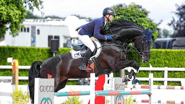 Auch für den dreifachen Olympiasieger in der Vielseitigkeit, Michael Jung aus Horb, ist es aktuell nicht ganz leicht, auf Turnieren zu ...
